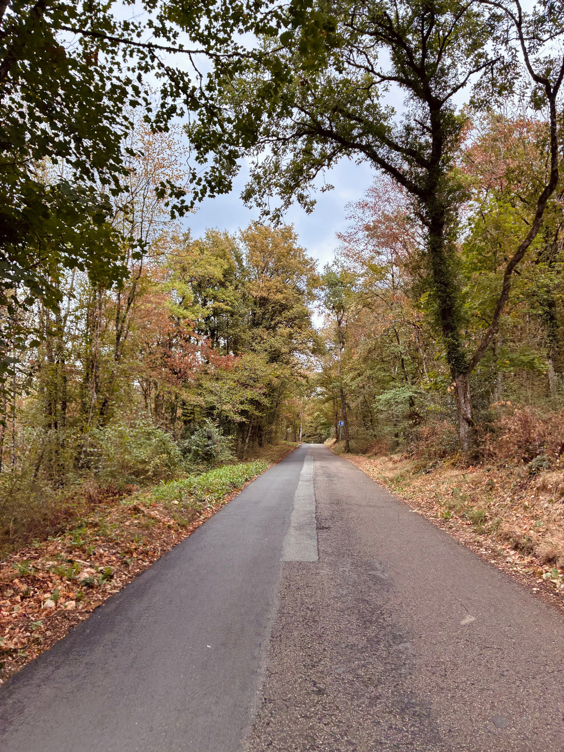 La Malate, la montée emblématique de Besançon